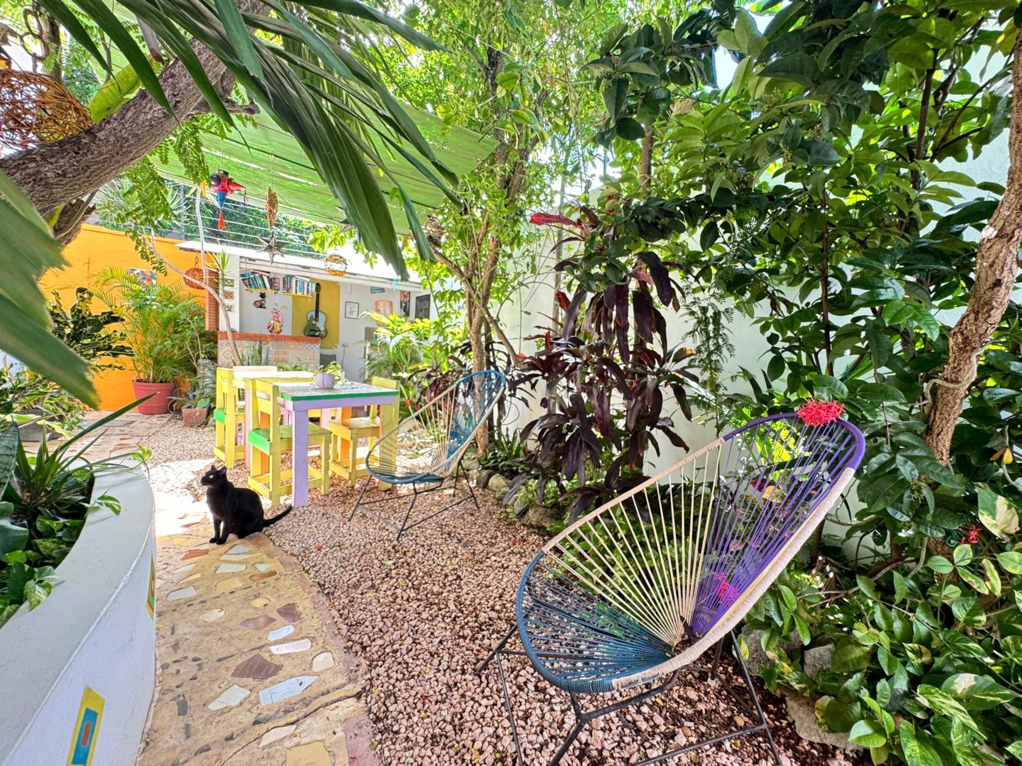 "Vainilla B&B" - Stylish Comfort In Playa Del Carmen Extérieur photo