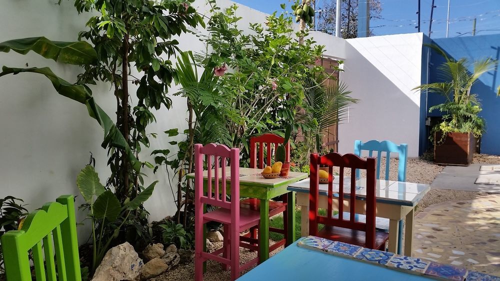 "Vainilla B&B" - Stylish Comfort In Playa Del Carmen Extérieur photo