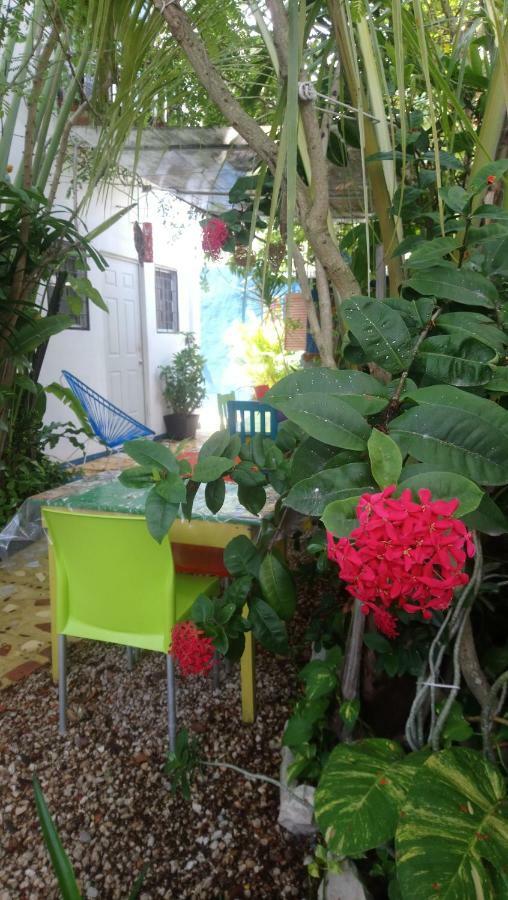 "Vainilla B&B" - Stylish Comfort In Playa Del Carmen Extérieur photo